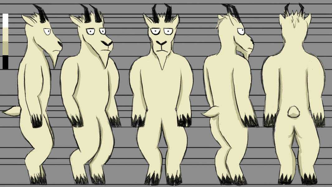 Final Goat Turnaround Final Goat Turnaround